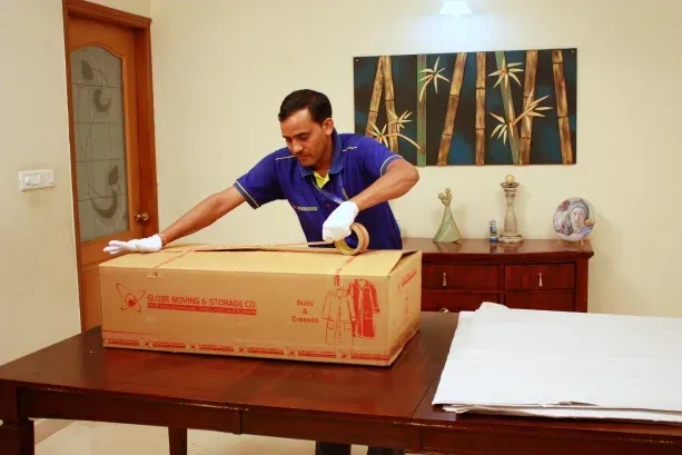 Flat-Suit-Carton-1 packing