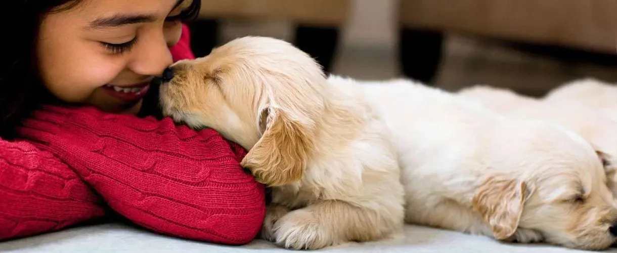 dog-owner-love-jpg.webp